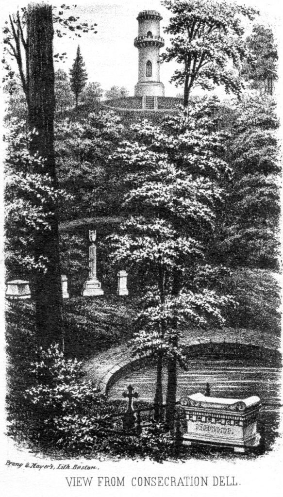 An illustration with a view through a forest to a granite tower